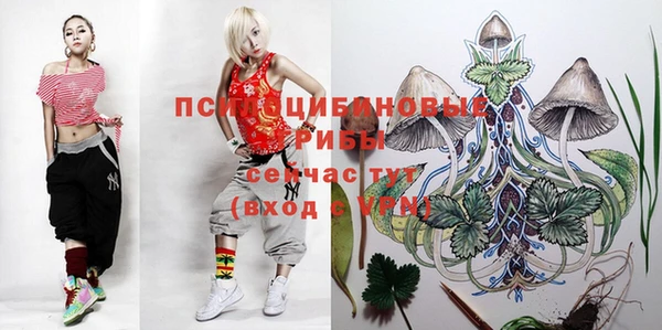таблы Белоозёрский