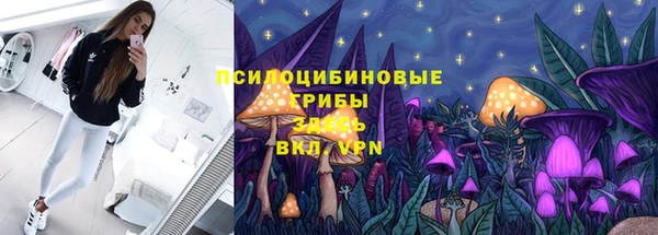 СК Белокуриха