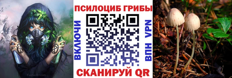 Псилоцибиновые грибы мицелий  даркнет сайт  Кола 